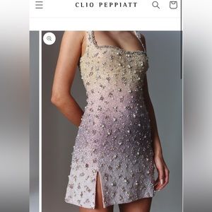 NWT UNWORN, beautiful & sexy Clio Peppiatt rainbow embellished dress
